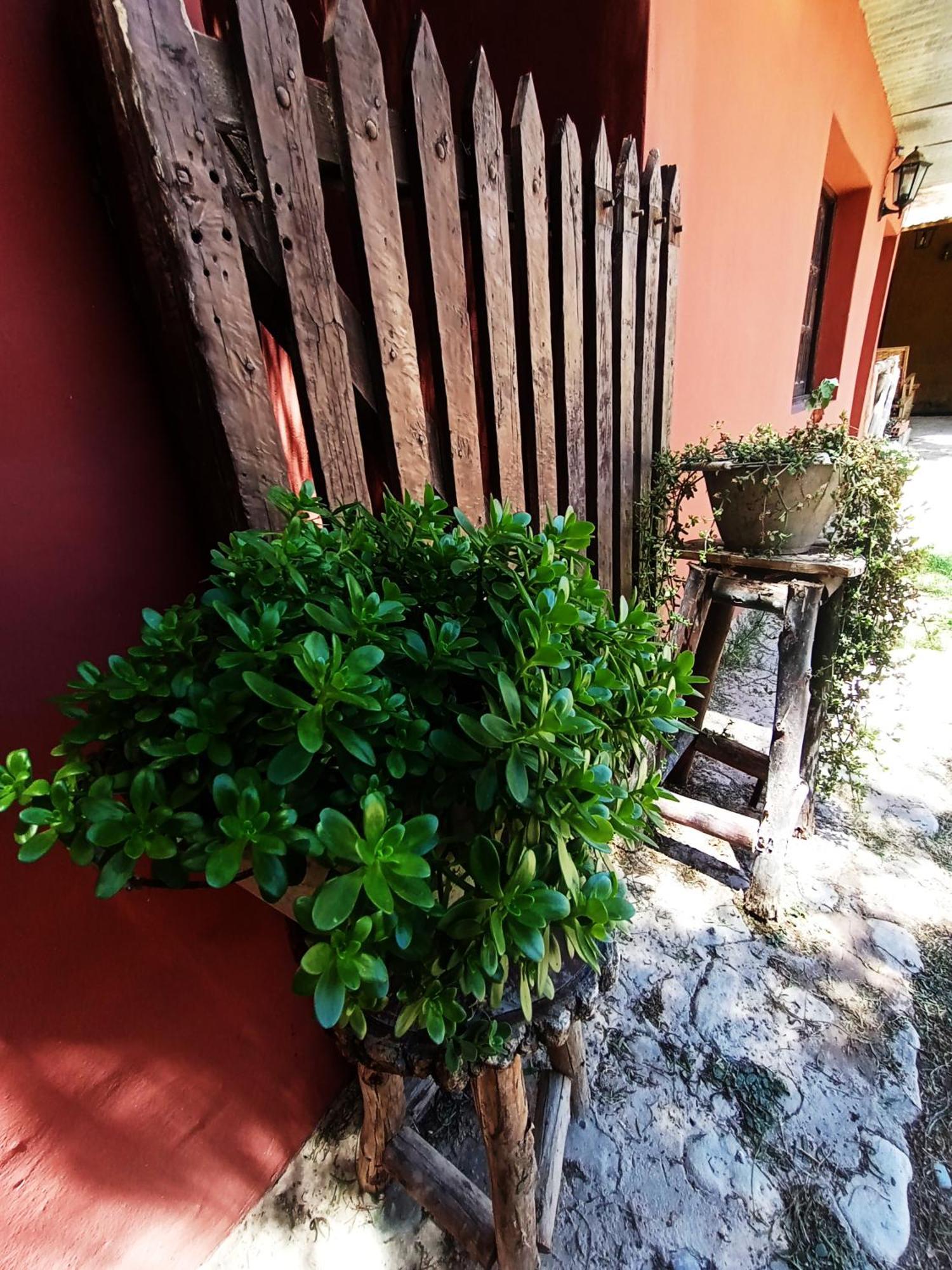 Hostal La Albahaca Tilcara Exterior photo